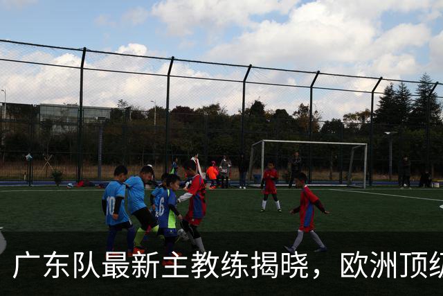 广东队最新主教练揭晓，欧洲顶级外教，徐杰将受重用，胡明轩难了