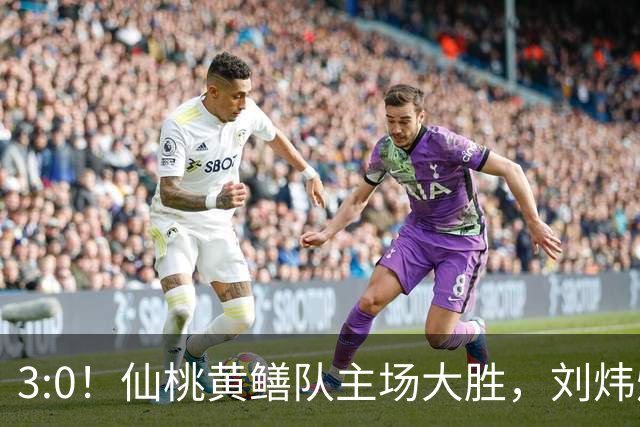 3:0！仙桃黄鳝队主场大胜，刘炜烨上演帽子戏法