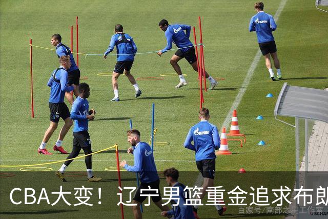 CBA大变！辽宁男篮重金追求布朗，胡金秋竟成“有价无市”香饽饽