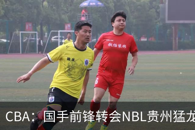 CBA：国手前锋转会NBL贵州猛龙，王少杰前往江苏男篮，吉林大将签约宁波，胡金秋预计留队